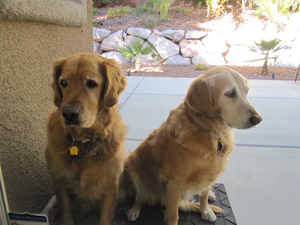 Ickey and Michelle by the back door