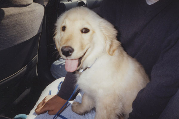 Riding in daddy's old honda civic (picture taken before I threw up all over).