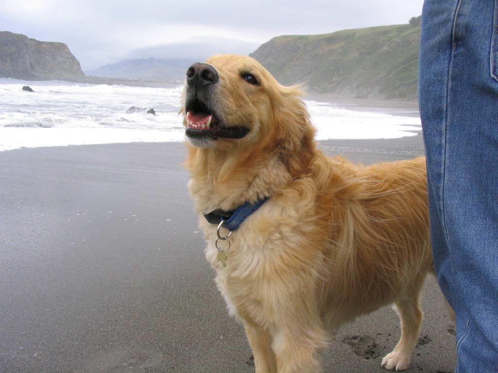 P- smiling at the beach