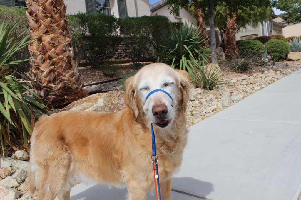 Michelle smiling during her walk