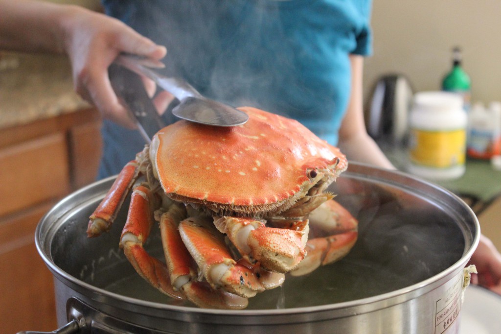 cooking_de_crab