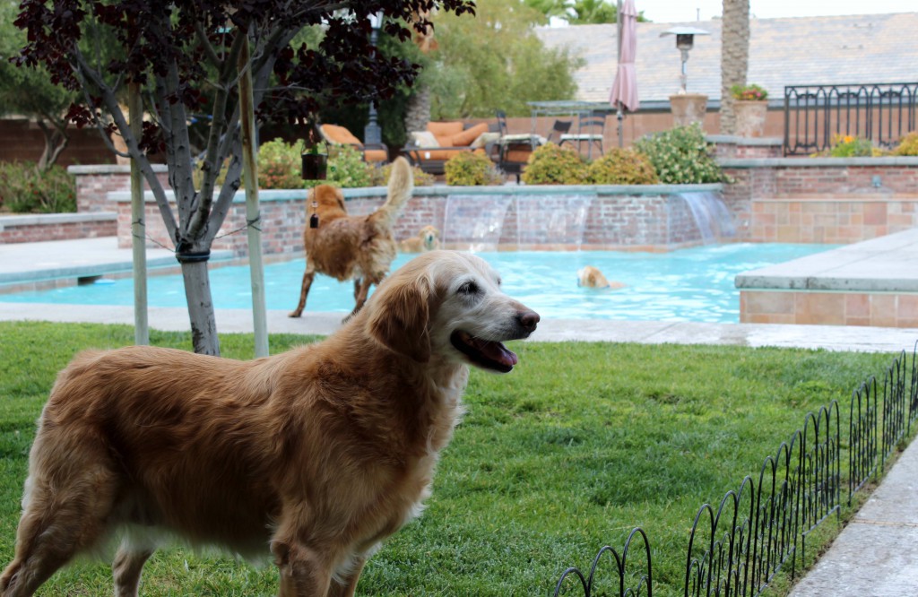 Michelle Enjoying the Pool