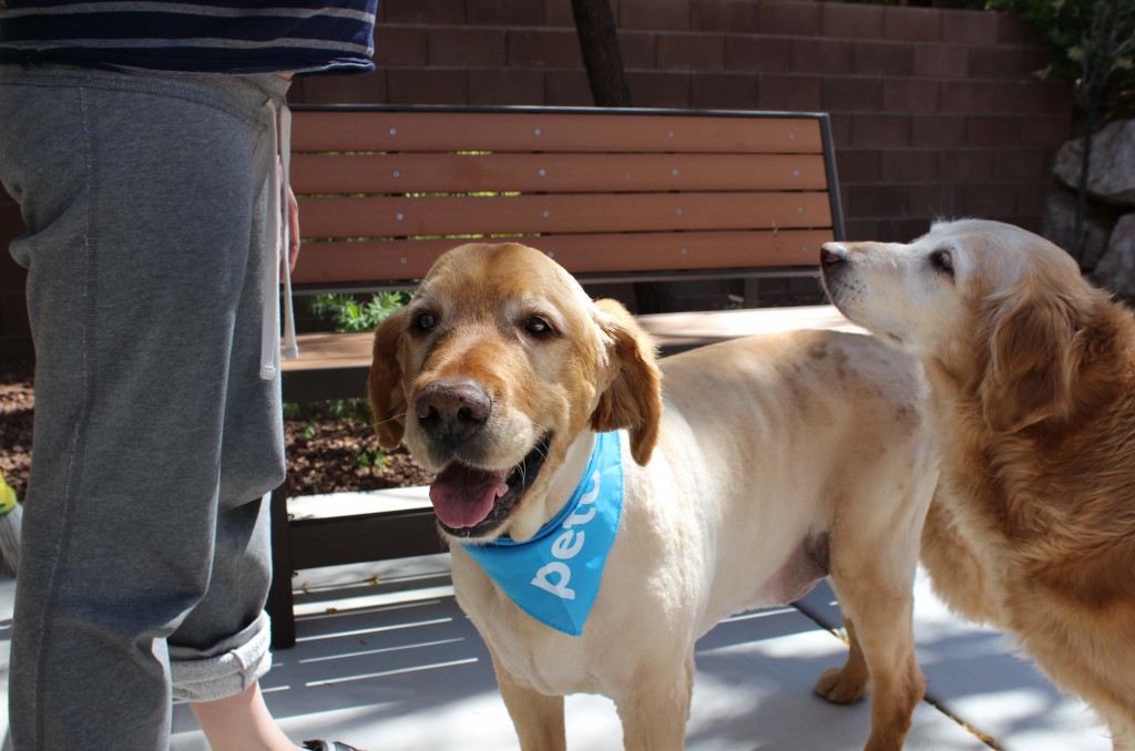 Ickey with his new haircut