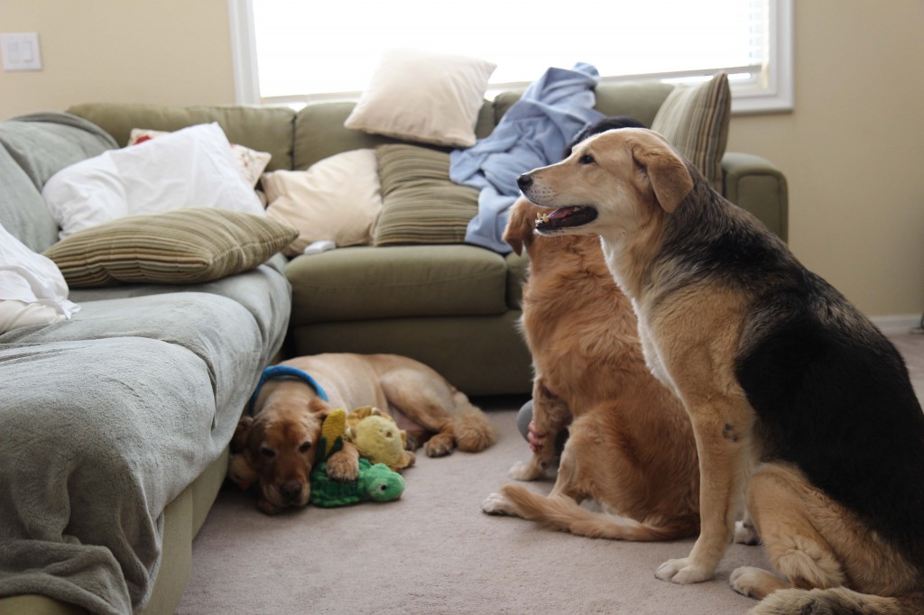 Ickey surrounded by his Sisters