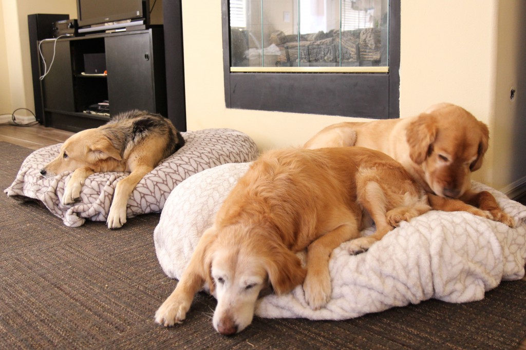 Ickey and Michelle sharing a bed