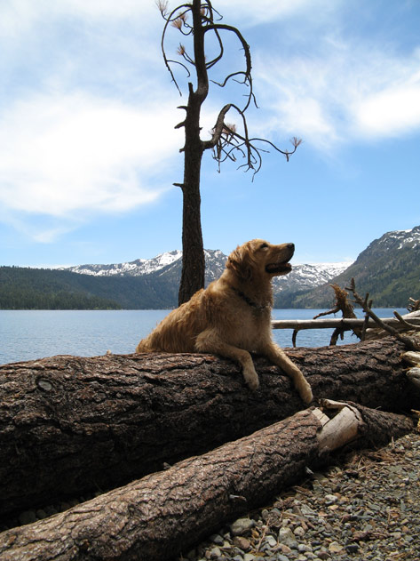 P- smiling at Lake Tahoe